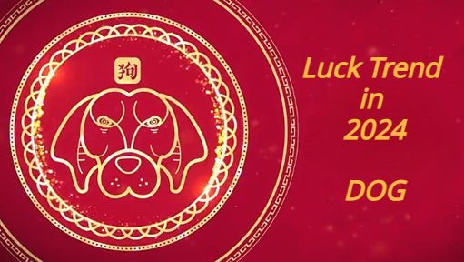 Overall Fortune for Dog Zodiac in 2024 - LYDAZZ